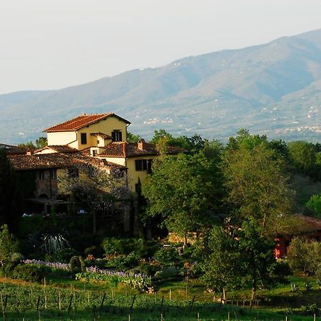 Locanda Casanuova Figline Valdarno Dış mekan fotoğraf