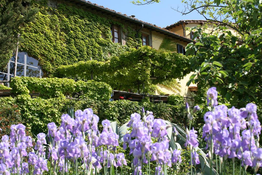 Locanda Casanuova Figline Valdarno Dış mekan fotoğraf