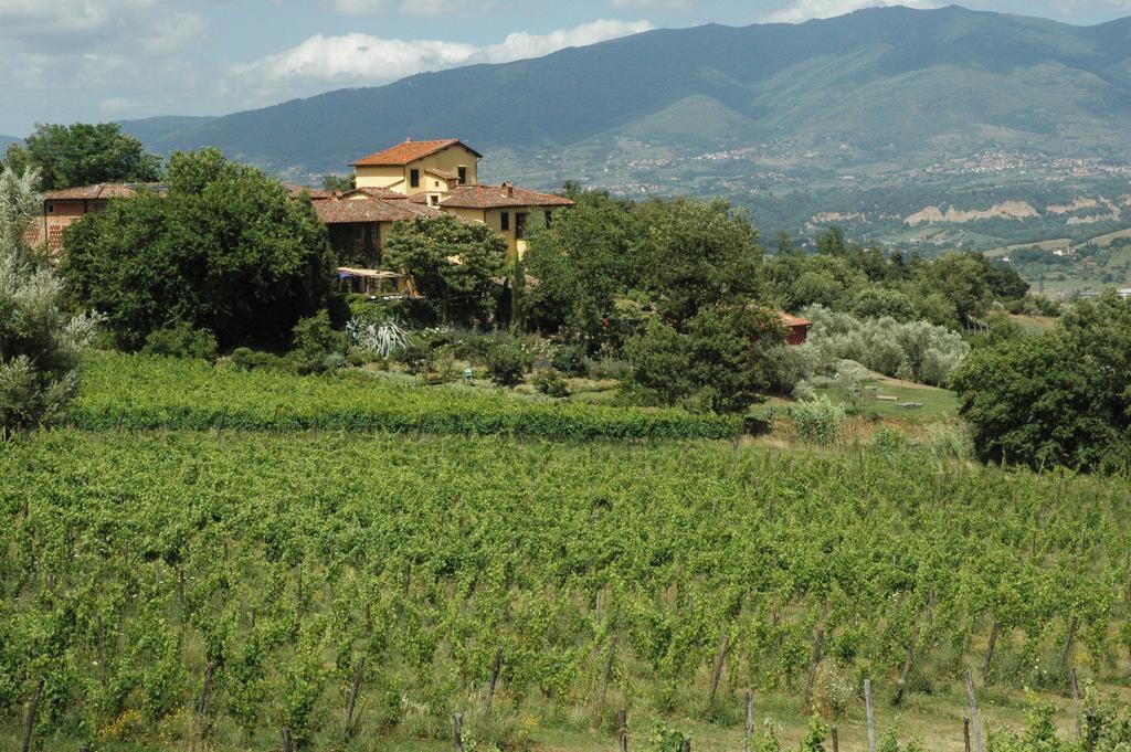 Locanda Casanuova Figline Valdarno Dış mekan fotoğraf