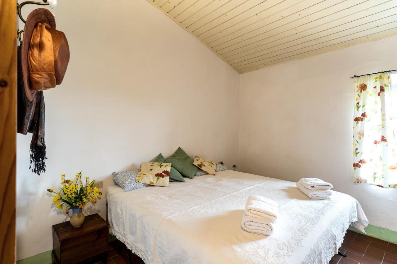Locanda Casanuova Figline Valdarno Dış mekan fotoğraf